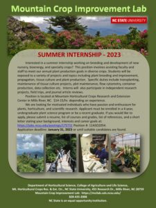 Cover photo for Summer Internship - 2023
